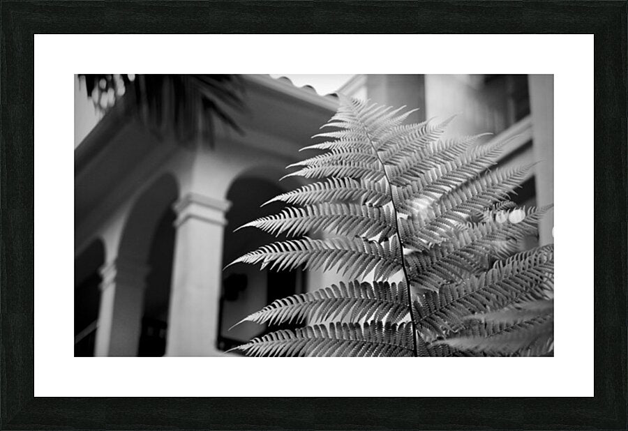 2504119 :: Framed Print