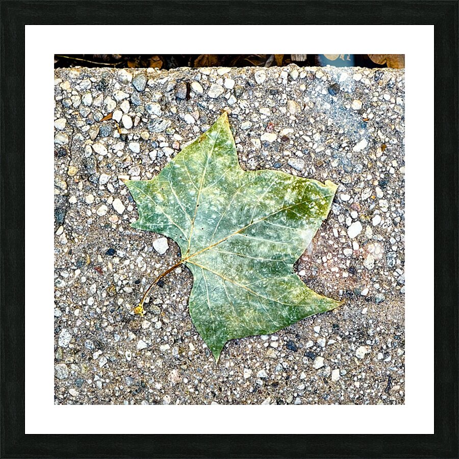 2507302 :: Framed Print