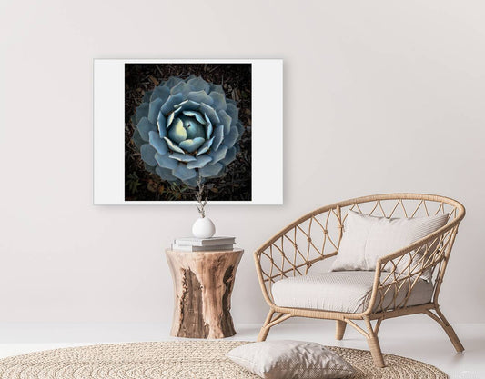2472624 :: Giclée Stretched Canvas Print