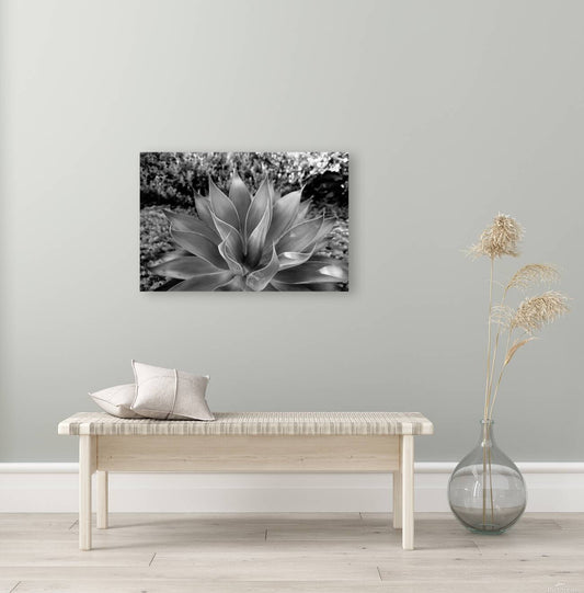 2504122 :: Giclée Stretched Canvas Print