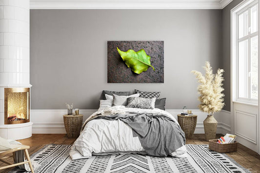 2507300 :: Giclée Stretched Canvas Print