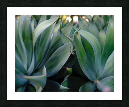 2472622 :: Framed Print