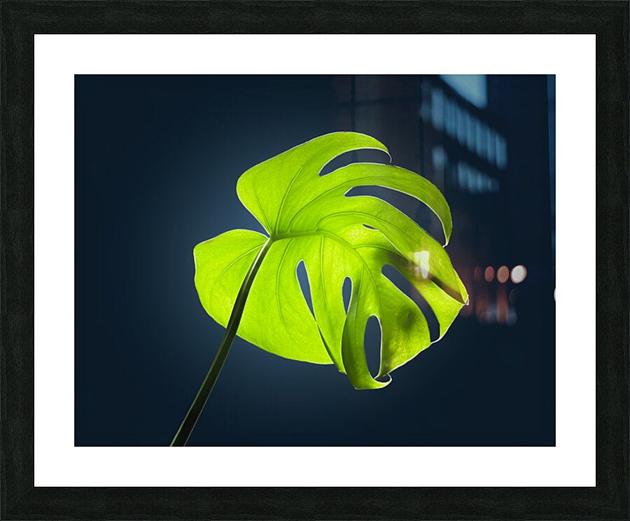 2472625 :: Framed Print