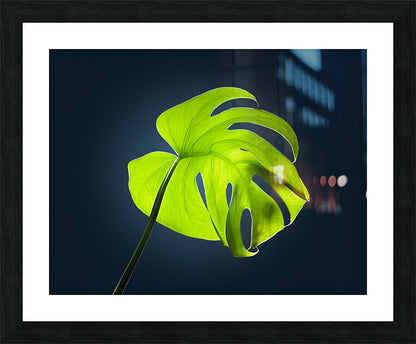 2472625 :: Framed Print