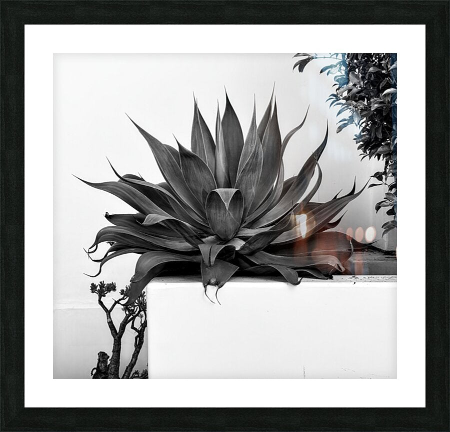 2472630 :: Framed Print