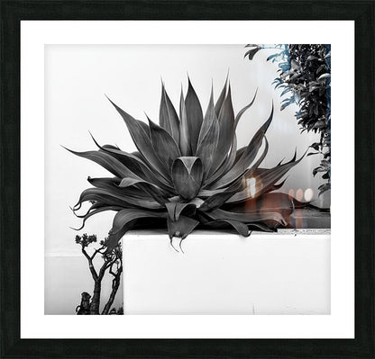 2472630 :: Framed Print