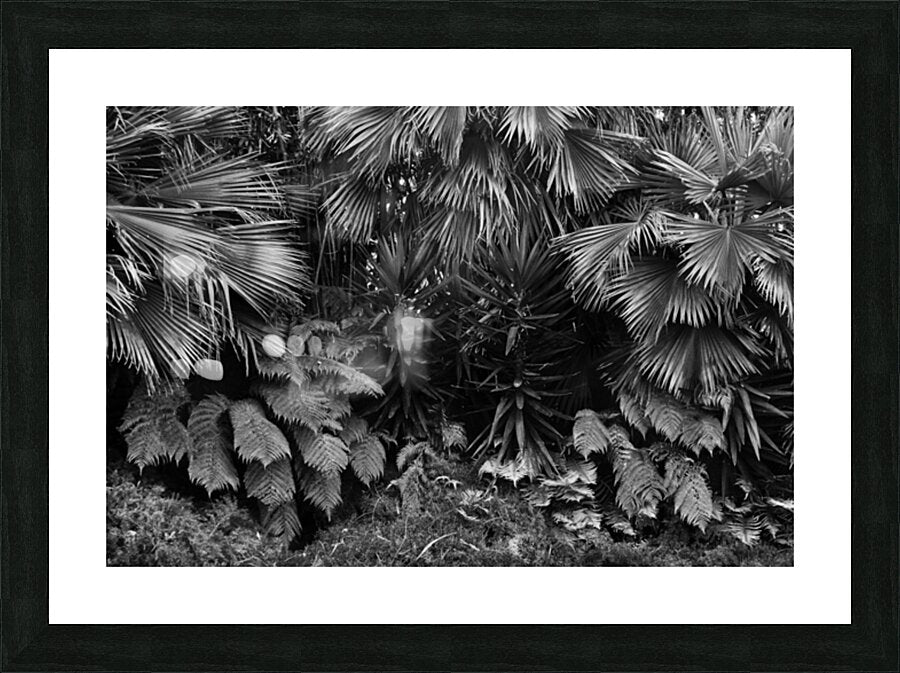 2474293 :: Framed Print