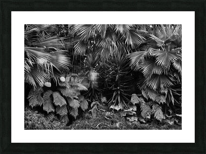 2474293 :: Framed Print