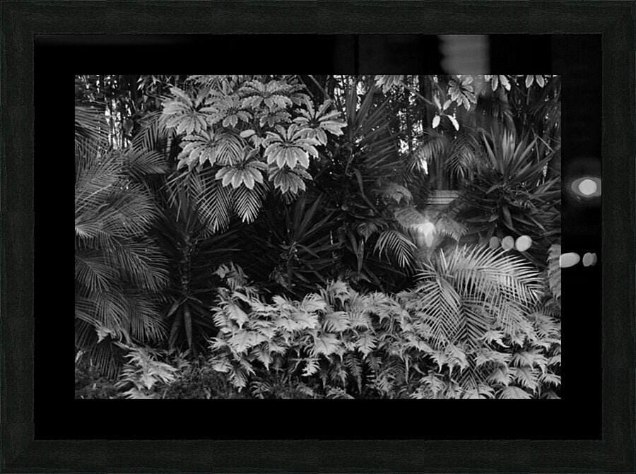 2474296 :: Framed Print