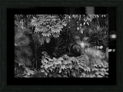 2474296 :: Framed Print