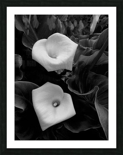 2504117 :: Framed Print
