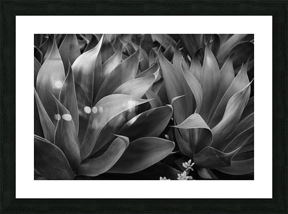 2504118 :: Framed Print