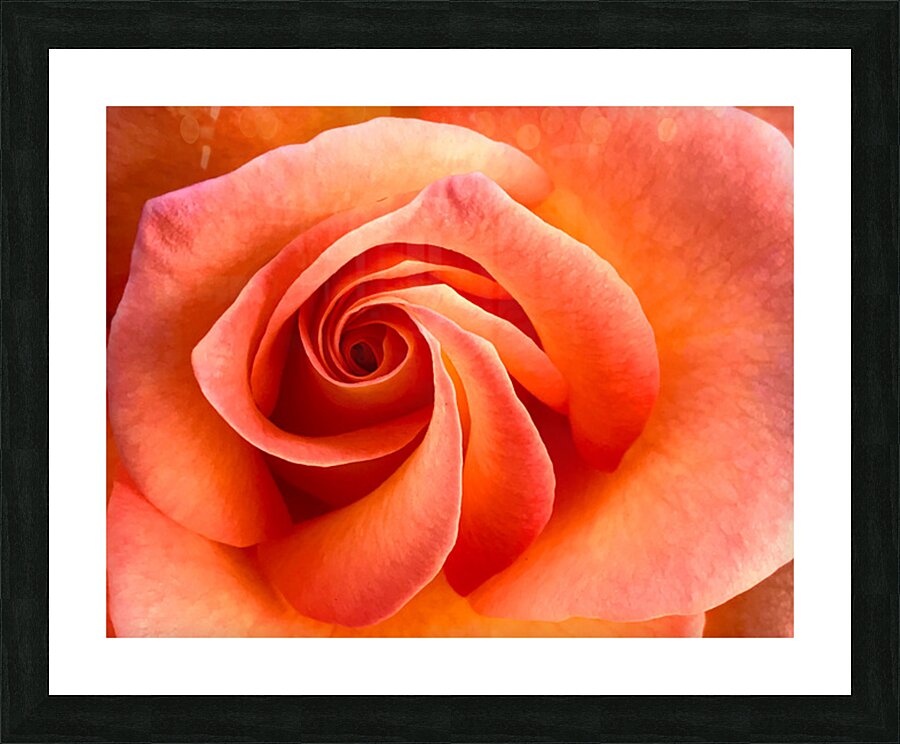 2504121 :: Framed Print