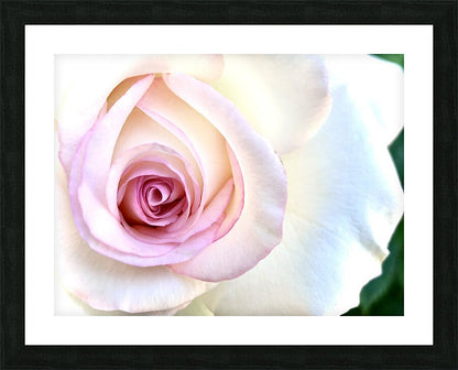 2504124 :: Framed Print