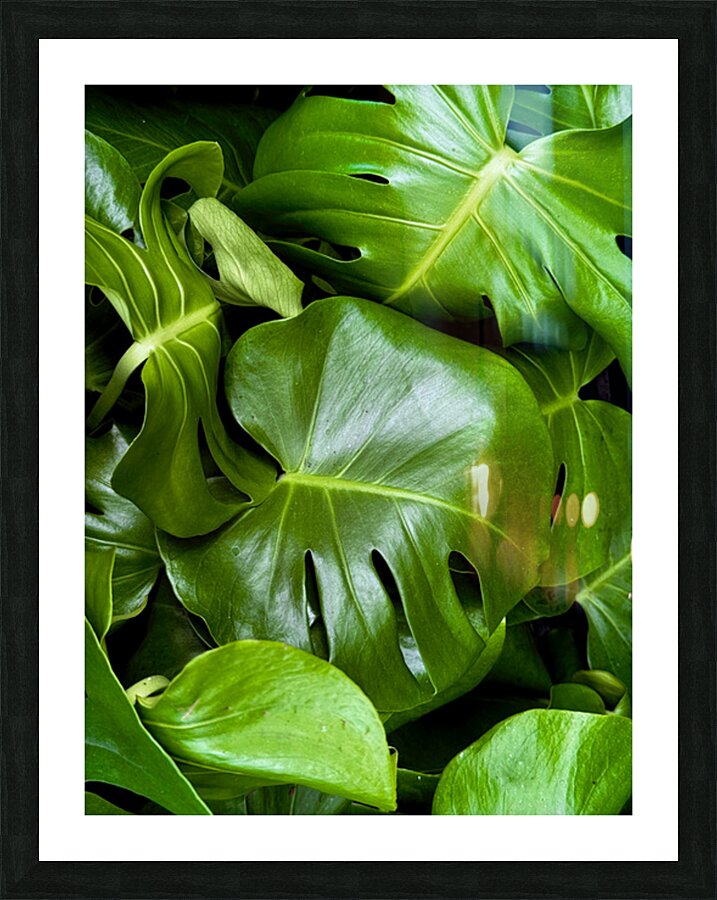 2506821 :: Framed Print