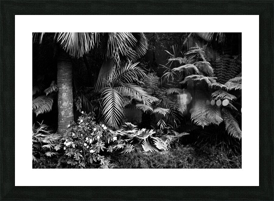 2506837 :: Framed Print
