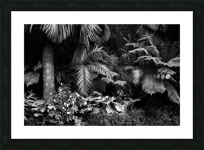 2506837 :: Framed Print