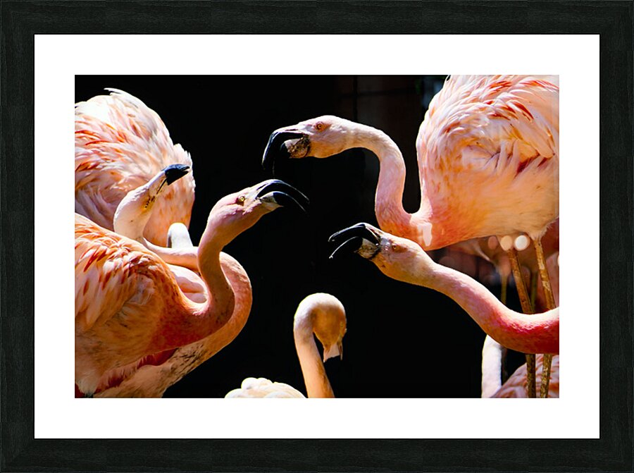 2507224 :: Framed Print