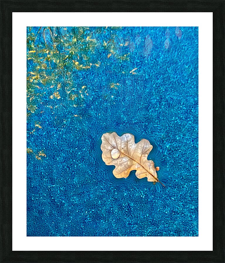 2507230 :: Framed Print