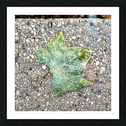 2507302 :: Framed Print