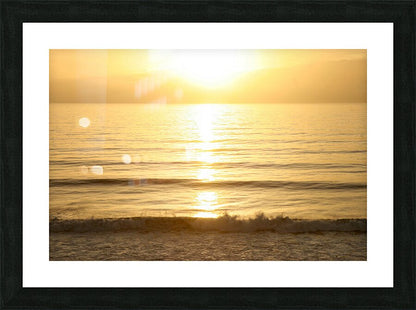 2507307 :: Framed Print