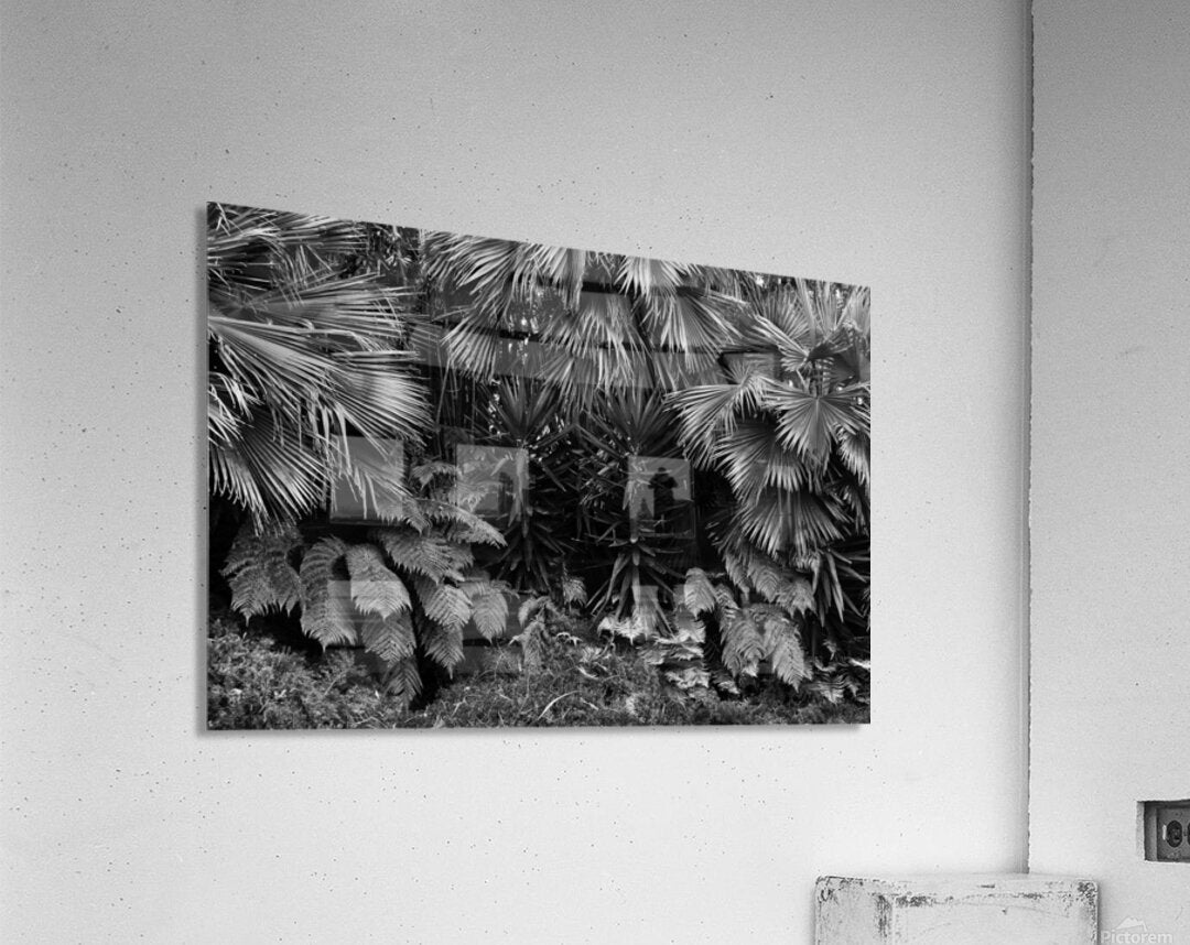 2474293 :: Acrylic Print