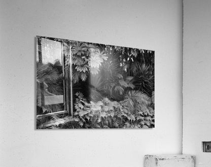 2474296 :: Acrylic Print