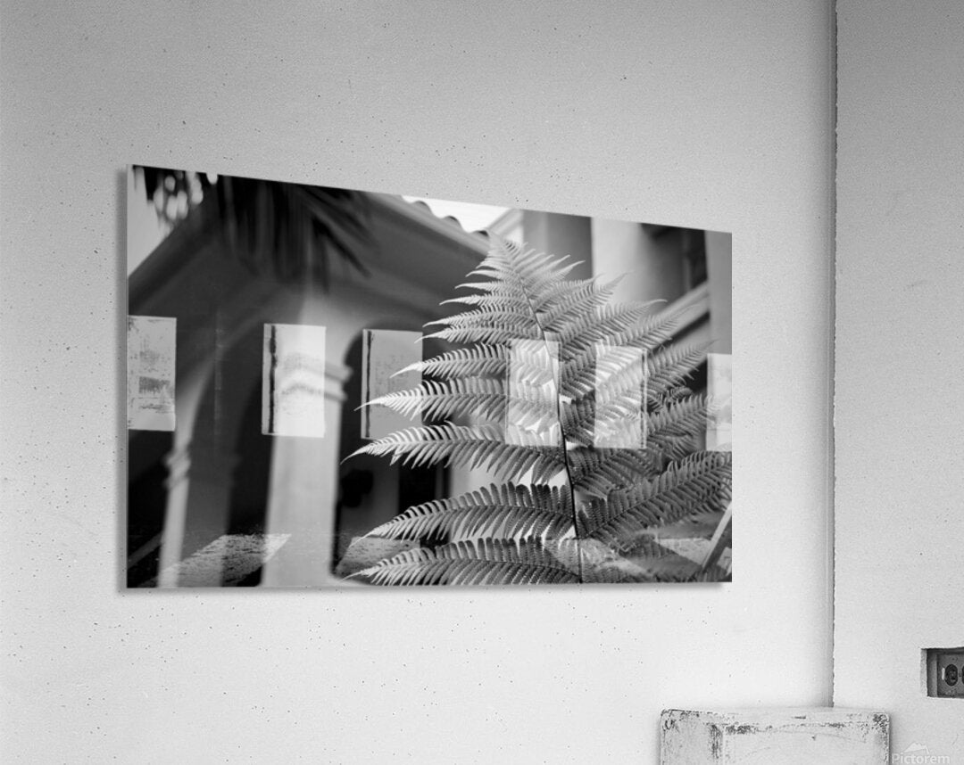 2504119 :: Acrylic Print