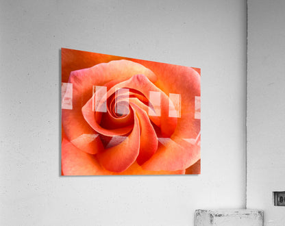 2504121 :: Acrylic Print
