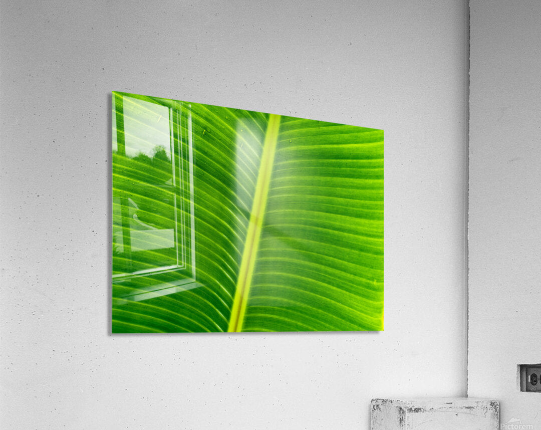 2504123 :: Acrylic Print