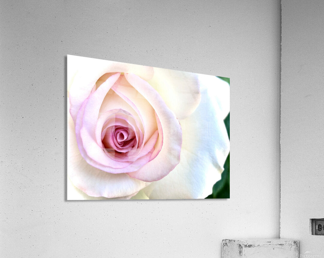 2504124 :: Acrylic Print
