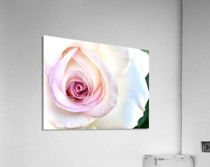 2504124 :: Acrylic Print