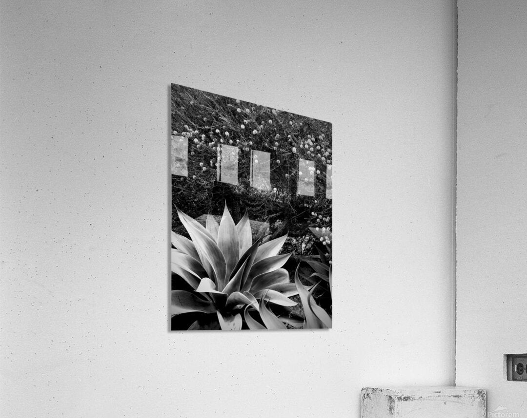 2504126 :: Acrylic Print