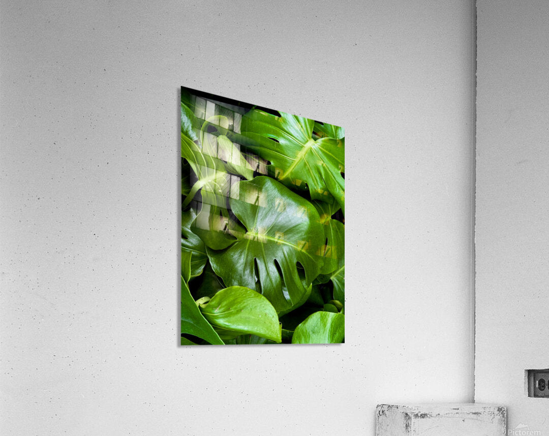 2506821 :: Acrylic Print