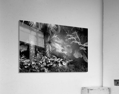 2506837 :: Acrylic Print