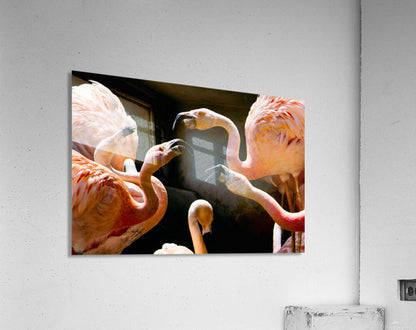 2507224 :: Acrylic Print