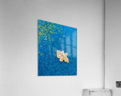 2507230 :: Acrylic Print