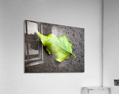 2507300 :: Acrylic Print