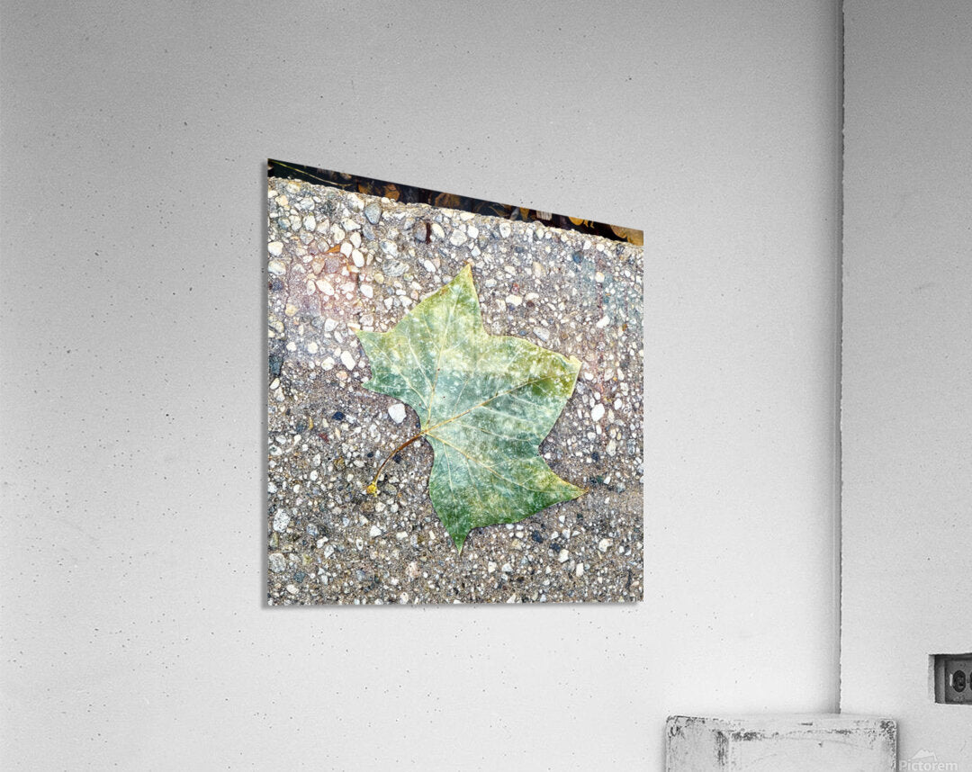 2507302 :: Acrylic Print