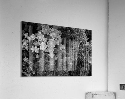 2507303 :: Acrylic Print