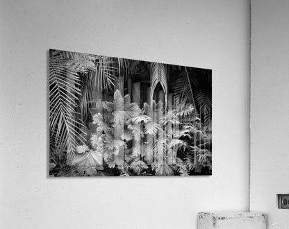 2507308 :: Acrylic Print