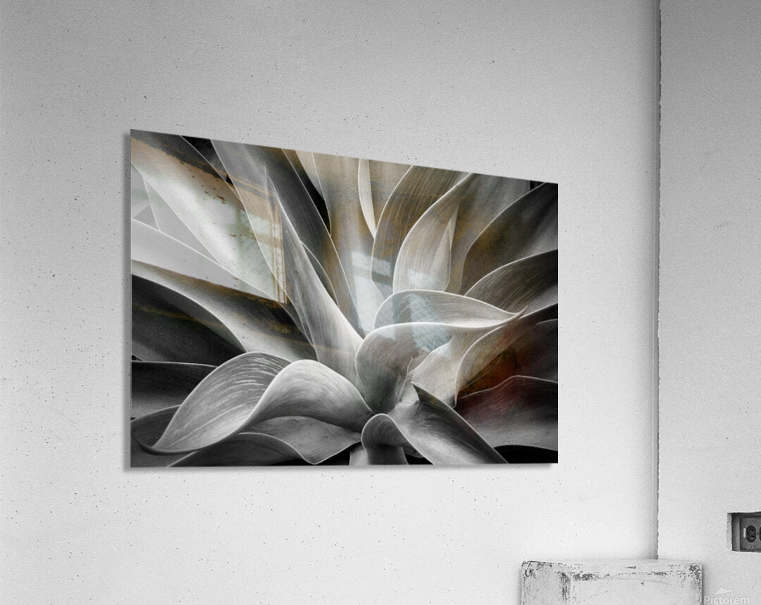 2507309 :: Acrylic Print