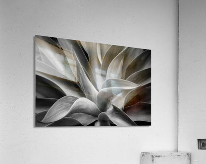 2507309 :: Acrylic Print