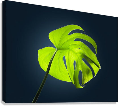 2472625 :: Giclée Stretched Canvas Print