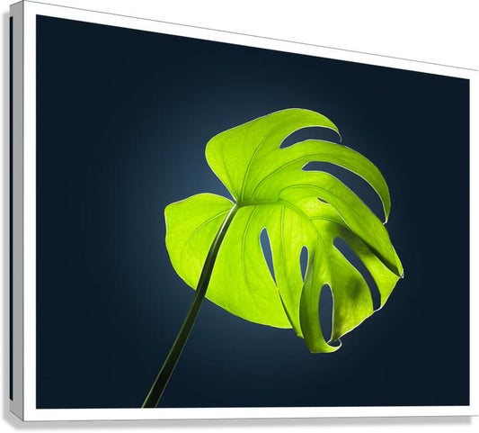2472625 :: Giclée Stretched Canvas Print