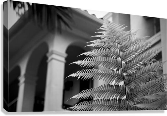2504119 :: Giclée Stretched Canvas Print