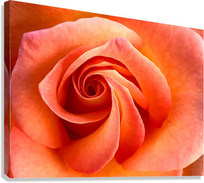 2504121 :: Giclée Stretched Canvas Print