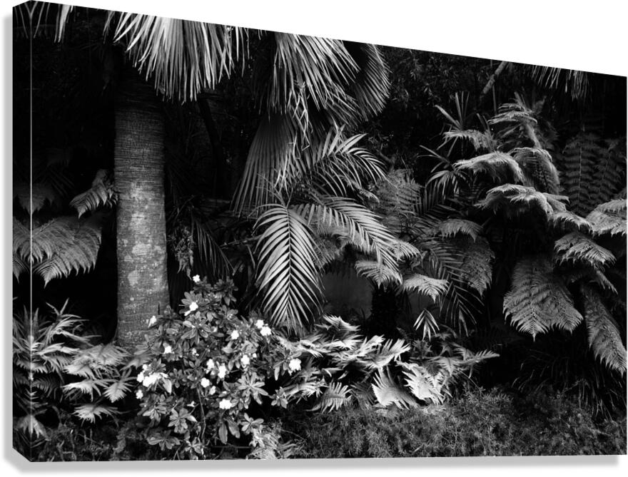 2506837 :: Giclée Stretched Canvas Print
