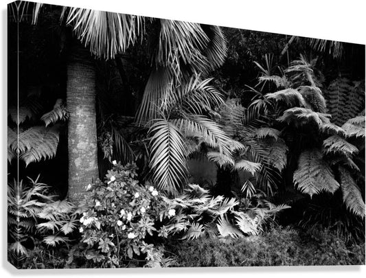 2506837 :: Giclée Stretched Canvas Print