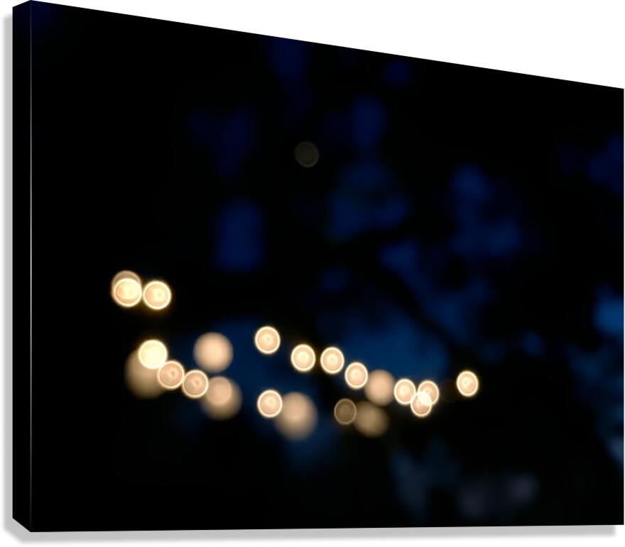 2506839 :: Giclée Stretched Canvas Print